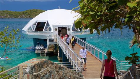 Coral world ocean park st thomas - Jan 1, 2024 - Voted top attraction in the V.I. since 2004. Get up close and personal with the beauty and magic of Caribbean marine life in a stunning setting. View life on a coral reef from the unique Undersea O...